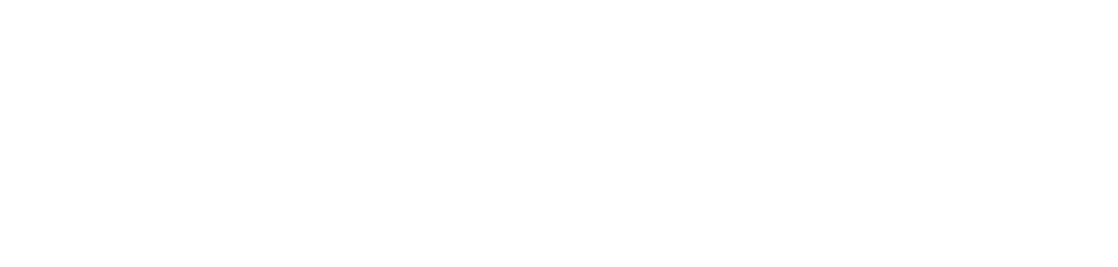 YORK Logo